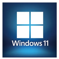 Windows 11 Pro 32/64Bit Retail Lisans